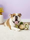 Jolly Pets TUG-A-MAL Turtle Dog мягкая игрушка для собак для перетягивания Черепаха с пищалкой | 6613959 | фото 6