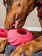 Jolly Pets JOLLY TUFF TREADER игрушка для собак шина для лакомств | 6613971 | фото 2