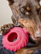 Jolly Pets JOLLY TUFF TREADER игрушка для собак шина для лакомств | 6613971 | фото 3