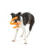 West Paw Bumi Tug Toy игрушка для собак S-образная Оранжевый | 6613974 | фото 3