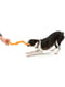 West Paw Bumi Tug Toy игрушка для собак S-образная Оранжевый | 6613974 | фото 4