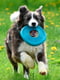 West Paw Dash Dog Frisbee игрушка для собак фрисби | 6613975 | фото 3
