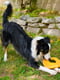 West Paw Dash Dog Frisbee игрушка для собак фрисби Желтый | 6613976 | фото 4