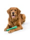 West Paw Seaflex Drifty Emerald игрушка для собак кость | 6613978 | фото 4