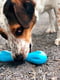 West Paw Hurley Dog Bone игрушка для собак косточка Зеленый | 6613985 | фото 4