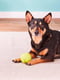 West Paw Jive Dog Ball игрушка для собак супер мяч Зеленый | 6613988 | фото 4