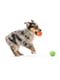 West Paw Rando игрушка для собак большой мяч Фиолетовый | 6613998 | фото 4
