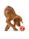 Іграшка для собак м'яч зі схованою для ласощів West Paw Rumbl Large Eggplant Маленький - 8 см., Фіолетовий | 6614001 | фото 2
