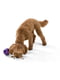 Іграшка для собак м'яч зі схованою для ласощів West Paw Rumbl Large Eggplant Маленький - 8 см., Фіолетовий | 6614001 | фото 4