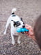 West Paw Rumpus игрушка для собак кость - палка | 6614004 | фото 3