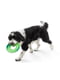 West Paw Seaflex Sailz іграшка для собак фрісбі | 6614007 | фото 5