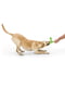 West Paw Skamp Три лепестка игрушка для собак для апорта Оранжевый | 6614012 | фото 3