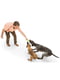 West Paw Skamp Три лепестка игрушка для собак для апорта Оранжевый | 6614012 | фото 5