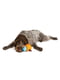 Игрушка головоломка для собак с тайником для лакомств West Paw Toppl Treat Toy Large Большой - 10 см., Оранжевый | 6614022 | фото 7