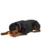 West Paw Tux Treat Toy игрушка для собак с отверстием для лакомств Большой - 13 см., Зелёный | 6614029 | фото 5