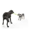 West Paw Zwig игрушка для собак палка - ветка для апорта | 6614044 | фото 4