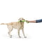 West Paw Zwig іграшка для собак палиця - гілка для апорту Зелений | 6614046 | фото 5