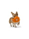 Плюшева іграшка пищалка для собак Роузбуд West Paw Rosebud Фіолетовий | 6614052 | фото 3