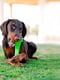 Іграшка для собак суперміцна кістка гантель з нішами для ласощів Bionic Opaque Stick Фіолетовий | 6614060 | фото 7