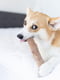 Іграшка для собак Міцна гілка 21 см Petstages Dogwood Stick | 6614061 | фото 4