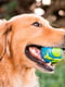 Суперміцна іграшка м'ячик для собак Planet Dog Orbee Ball Середній – 7 см. | 6614071 | фото 2
