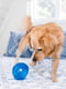 Суперміцна іграшка диспенсер м'яч для собак з отворами для корму Planet Dog Snoop | 6614079 | фото 6
