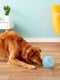 Суперміцна іграшка диспенсер м'яч для собак з отворами для корму Planet Dog Snoop | 6614079 | фото 7