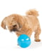 Суперміцна іграшка диспенсер м'яч для собак з отворами для корму Planet Dog Snoop Маленький - 7.6 х 10 см. | 6614080 | фото 5