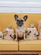 Інтерактивна іграшка для собак хованки Схованка Білки Outward Hound Hide-A-Squirrel | 6614087 | фото 7