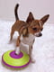 Інтерактивна іграшка головоломка Лабіринт для ласощів для собак Nina Ottosson Treat Maze | 6614091 | фото 3