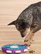 Інтерактивна іграшка Твістер головоломка для ласощів для собак Nina Ottosson Dog Twister | 6614092 | фото 4