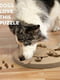 Інтерактивна іграшка пазл Ребус для собак Nina Ottosson Dog Worker Бежевий | 6614096 | фото 3