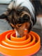 Миска лабіринт Вир для повільного годування собак Outward Hound Fun Feeder Slo Bowl | 6614101 | фото 5