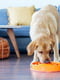 Миска лабіринт Вир для повільного годування собак Outward Hound Fun Feeder Slo Bowl | 6614101 | фото 6