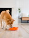 Миска лабіринт Вир для повільного годування собак Outward Hound Fun Feeder Slo Bowl | 6614101 | фото 7