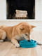 Миска лабиринт для медленного кормления собак Outward Hound Fun Feeder Drop | 6614103 | фото 3