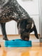 Миска лабіринт для повільного годування собак Outward Hound Fun Feeder Drop | 6614103 | фото 4