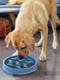Миска лабіринт для повільного годування собак Outward Hound Fun Feeder Tetris | 6614106 | фото 3