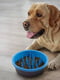 Миска силіконова для повільного годування собак Dexas Slow Feeder Dog Bowl | 6614154 | фото 3