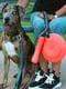 Іграшка для собак міцна гантель з карабіном Dexas Off-Leash | 6614155 | фото 6