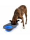 Двойная складная миска для собак и котов Dexas Collapsible Pet Feeder 44х22х3 см - 1200 мл, Красный | 6614162 | фото 6