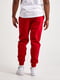 Штани Nike MJ Df Sprt Csvr Flc червоні | 6617323 | фото 2