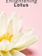 Парфумерний набір для тіла “Pomegranate &Lotus” | 6619693 | фото 14
