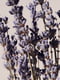 Парфюмерный набор тела “Lavender & Vanilla” | 6619695 | фото 15