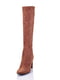 Сапоги демисезонные комбинированные коричневого цветана каблуке | 6624004 | фото 3