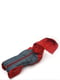 Комбінезон-дощовик з капюшоном для собак Zoo-hunt червоний 4XS | 6633301 | фото 3