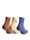 Шкарпетки 132 різнокольорові | 6637930 | фото 2