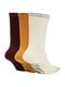 Шкарпетки 3- різнокольорові | 6638079 | фото 2