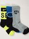 Шкарпетки 3- різнокольорові | 6638085 | фото 2