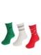 Шкарпетки 3- 34-38 різнокольорові | 6638137 | фото 3